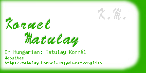 kornel matulay business card